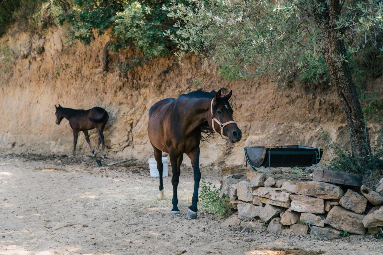 Leano Agriresort بياتْسا أرمارِنا المظهر الخارجي الصورة