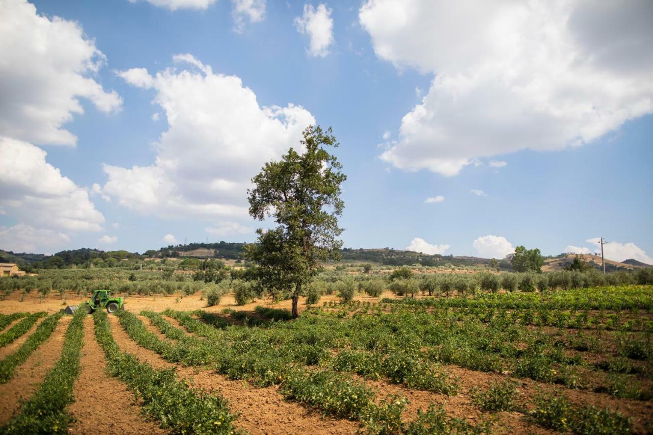 Leano Agriresort بياتْسا أرمارِنا المظهر الخارجي الصورة
