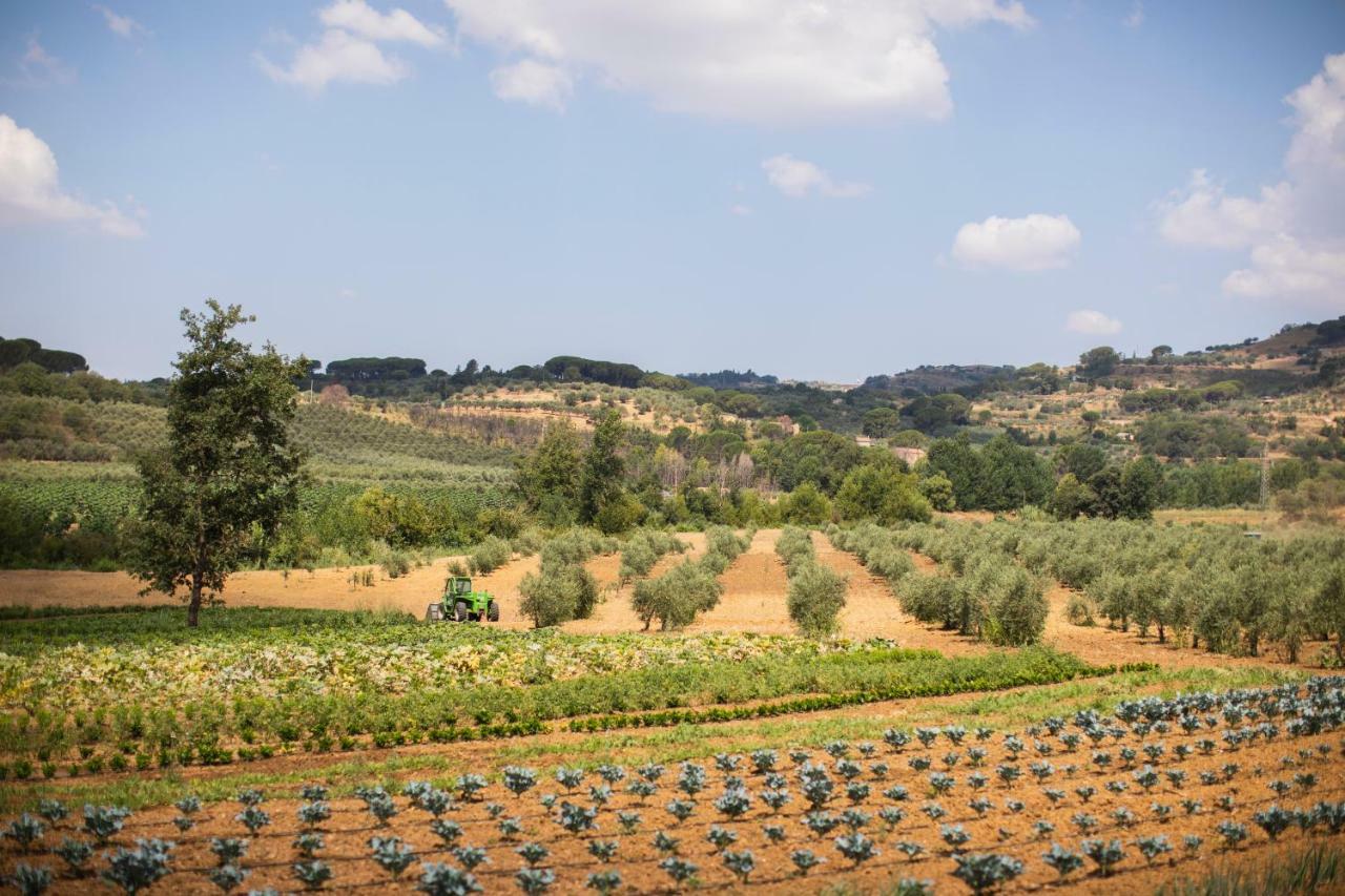 Leano Agriresort بياتْسا أرمارِنا المظهر الخارجي الصورة